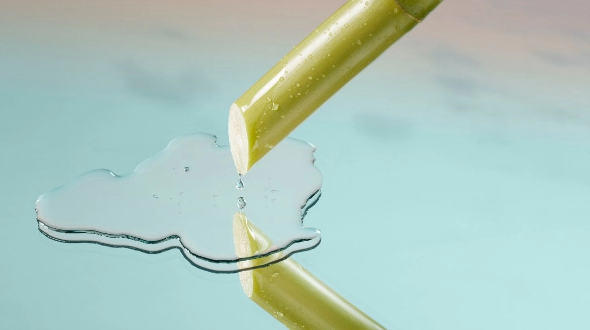 Hydration vs Moisture Explained Clear Skincare Guide for All Skin Types