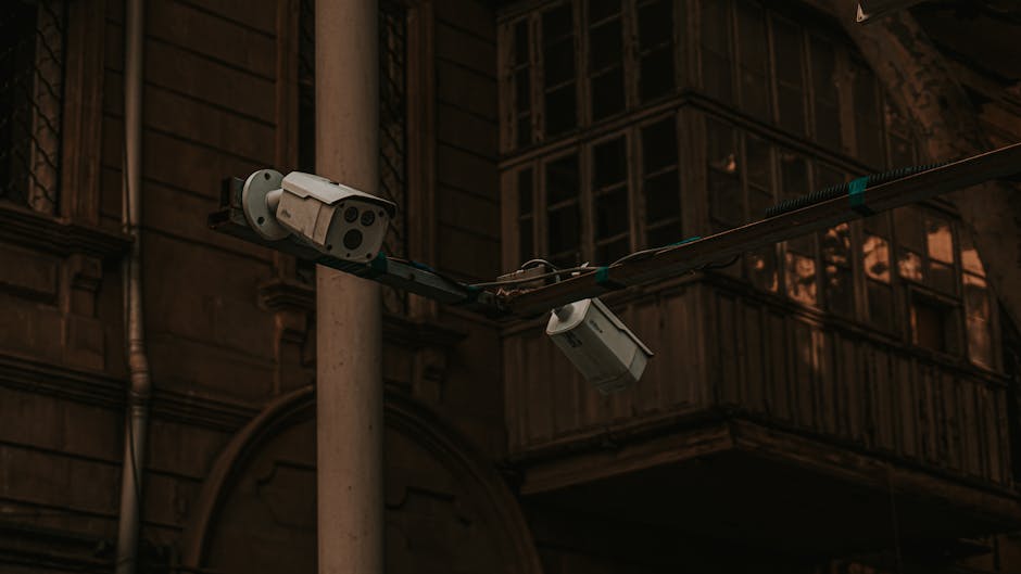 Reolink RLK16 vs RL: Which Security Camera System Reigns Supreme in 2026?