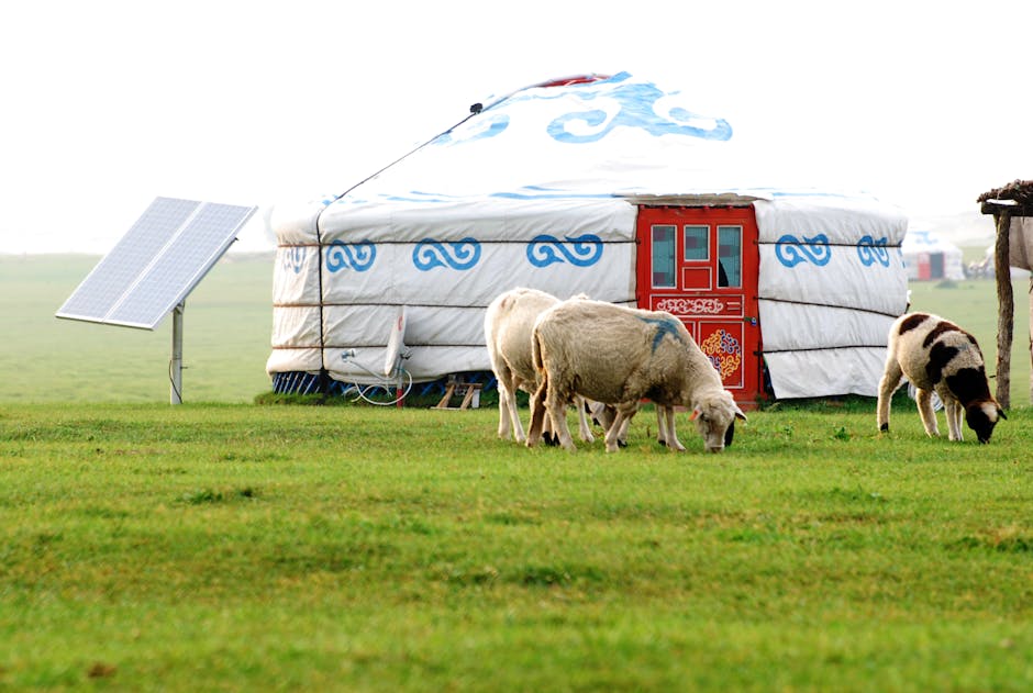 Best Solar Generators for Camping Enthusiasts in 2026