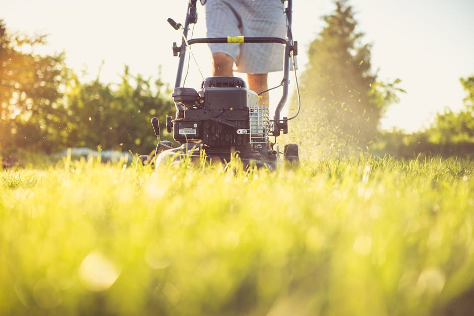 Best Robot Lawn Mowers for Tech-Savvy Homeowners in 2026