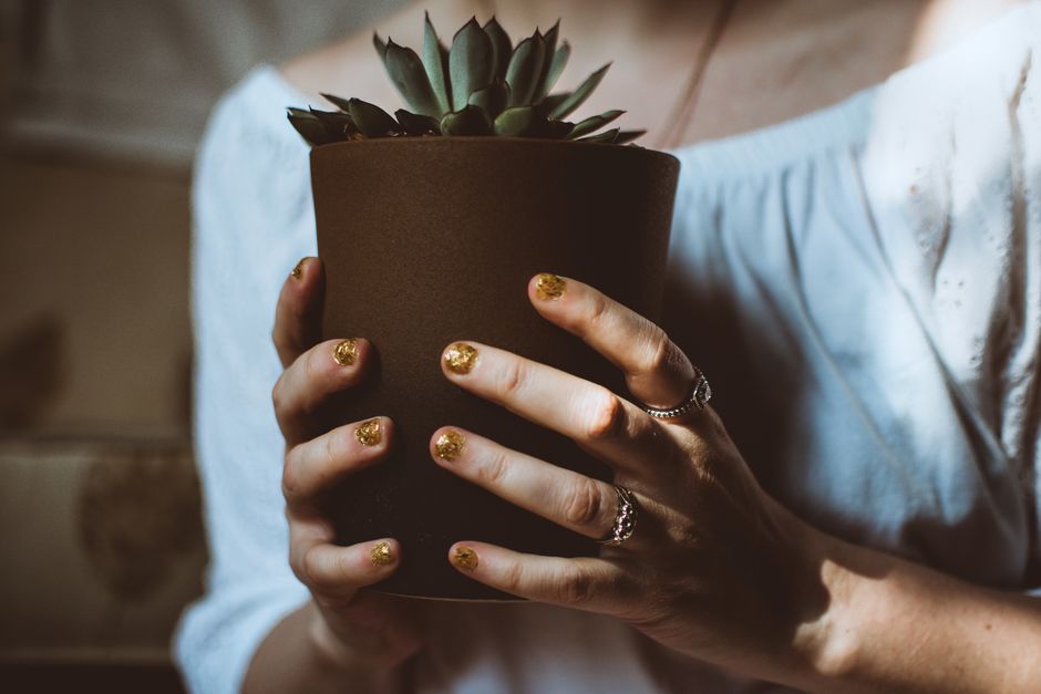 Close-up of woman's hands with glitter nail polish holding a potted succulent.